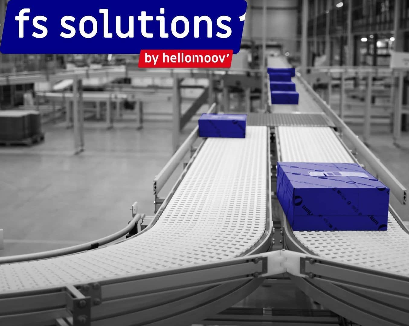 FS SOLUTIONS - solutions de tris